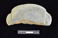 網墜藏品圖，第1張