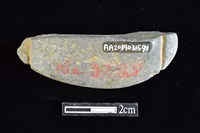 網墜藏品圖，第2張