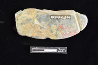 網墜藏品圖，第2張