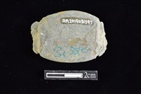 網墜藏品圖，第2張