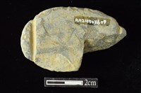 網墜藏品圖，第2張