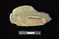 網墜藏品圖，第2張