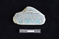 網墜藏品圖，第2張