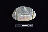 網墜藏品圖，第2張