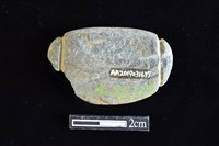 網墜藏品圖，第2張