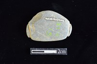 網墜藏品圖，第2張