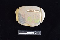 網墜藏品圖，第2張