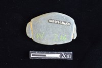 網墜藏品圖，第2張