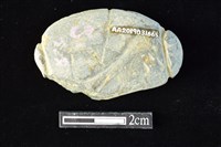 網墜藏品圖，第2張