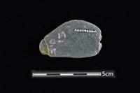 網墜藏品圖，第2張