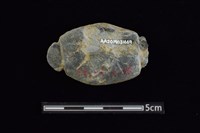 網墜藏品圖，第2張