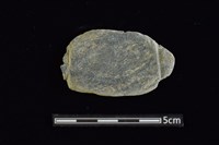 網墜藏品圖，第1張