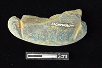 網墜藏品圖，第2張