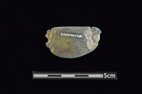 網墜藏品圖，第2張