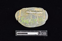 網墜藏品圖，第2張