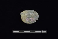 網墜藏品圖，第2張