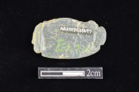 網墜藏品圖，第2張