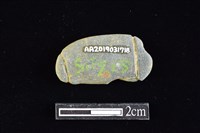 網墜藏品圖，第2張