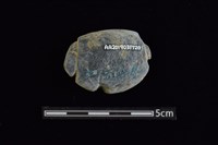 網墜藏品圖，第2張