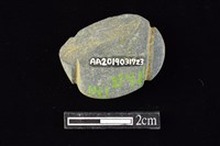 網墜藏品圖，第2張