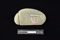 網墜藏品圖，第2張