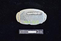 網墜藏品圖，第2張