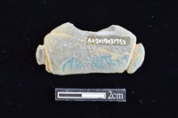 網墜藏品圖，第2張