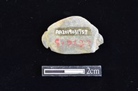 網墜藏品圖，第2張