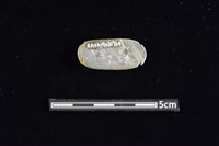 網墜藏品圖，第2張