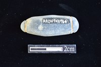 網墜藏品圖，第2張