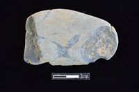 網墜藏品圖，第1張