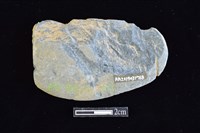 網墜藏品圖，第2張