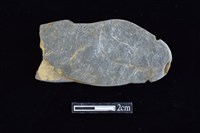 網墜藏品圖，第1張