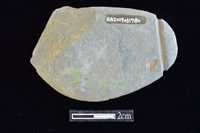 網墜藏品圖，第2張