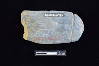 網墜藏品圖，第2張