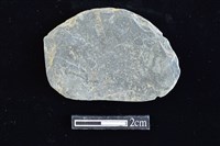 網墜藏品圖，第1張