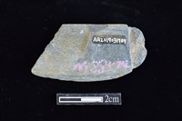 網墜藏品圖，第2張