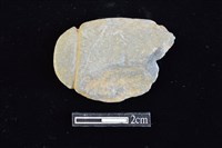 網墜藏品圖，第1張