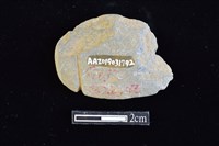 網墜藏品圖，第2張