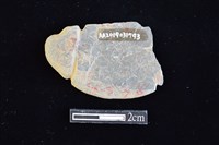 網墜藏品圖，第2張