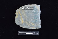 網墜藏品圖，第2張