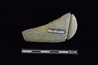 網墜藏品圖，第2張