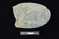 網墜藏品圖，第1張