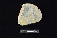 網墜藏品圖，第1張