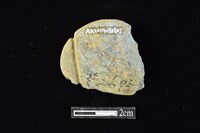 網墜藏品圖，第2張