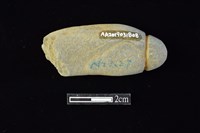 網墜藏品圖，第2張