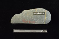 網墜藏品圖，第2張