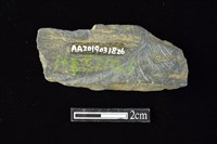 網墜藏品圖，第2張