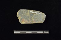 網墜藏品圖，第2張