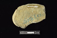 網墜藏品圖，第2張